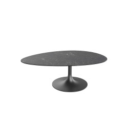 Alisse - Table basse irrégulière 
